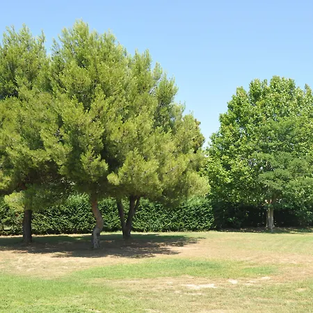 Hotel Aeroport - Parc Expo Mauguio