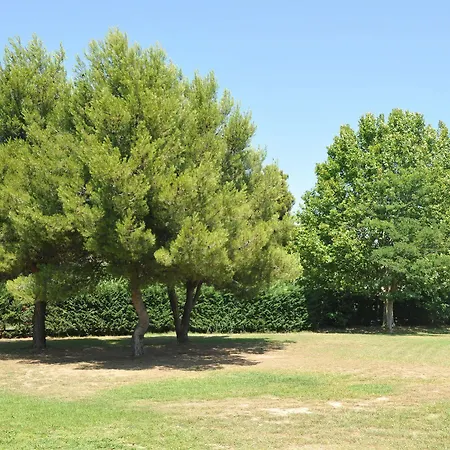 Aeroport - Parc Expo מוגויו